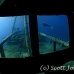 wreck_kittiwake_gc_h_0325_cay3751.jpg